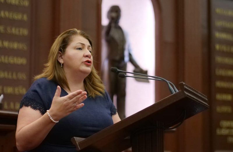 Facilitar los trámites al ciudadano, prioridad del Grupo Parlamentario de Morena: Cristina Portillo