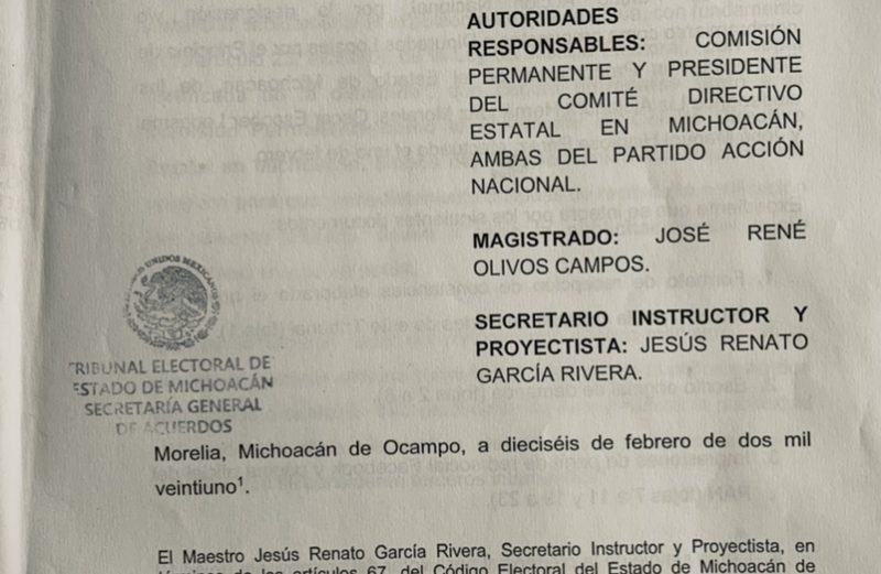 “Se le pasaron las cucharadas” al PAN estatal; designan a su esposa y él se pone de suplente.    Presentan demanda en Tribunal Electoral